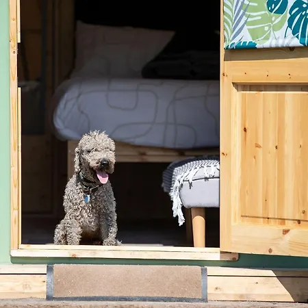 West Point Woods ロッジ バロー・イン・ファーネス